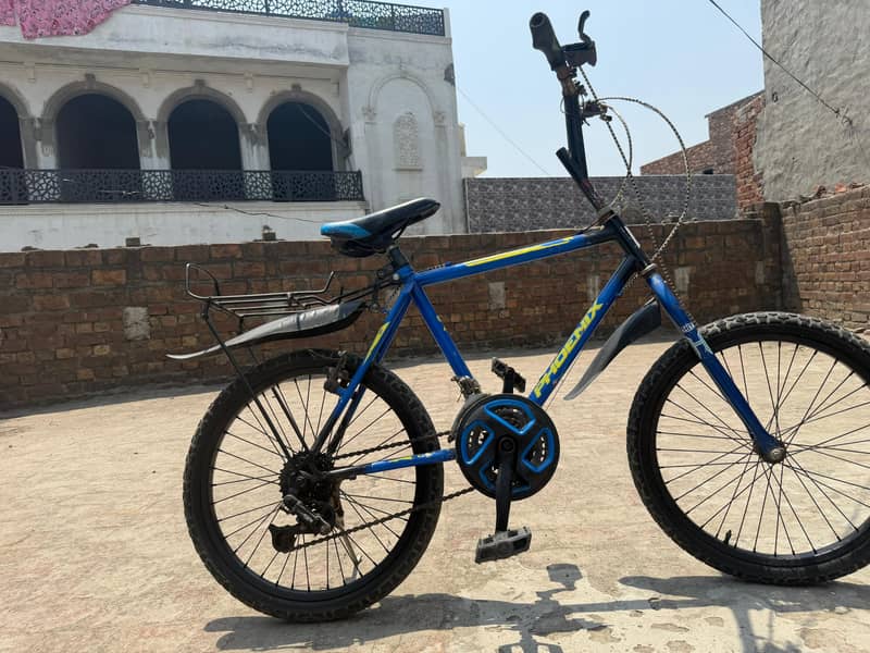 Phoenix cycle 4