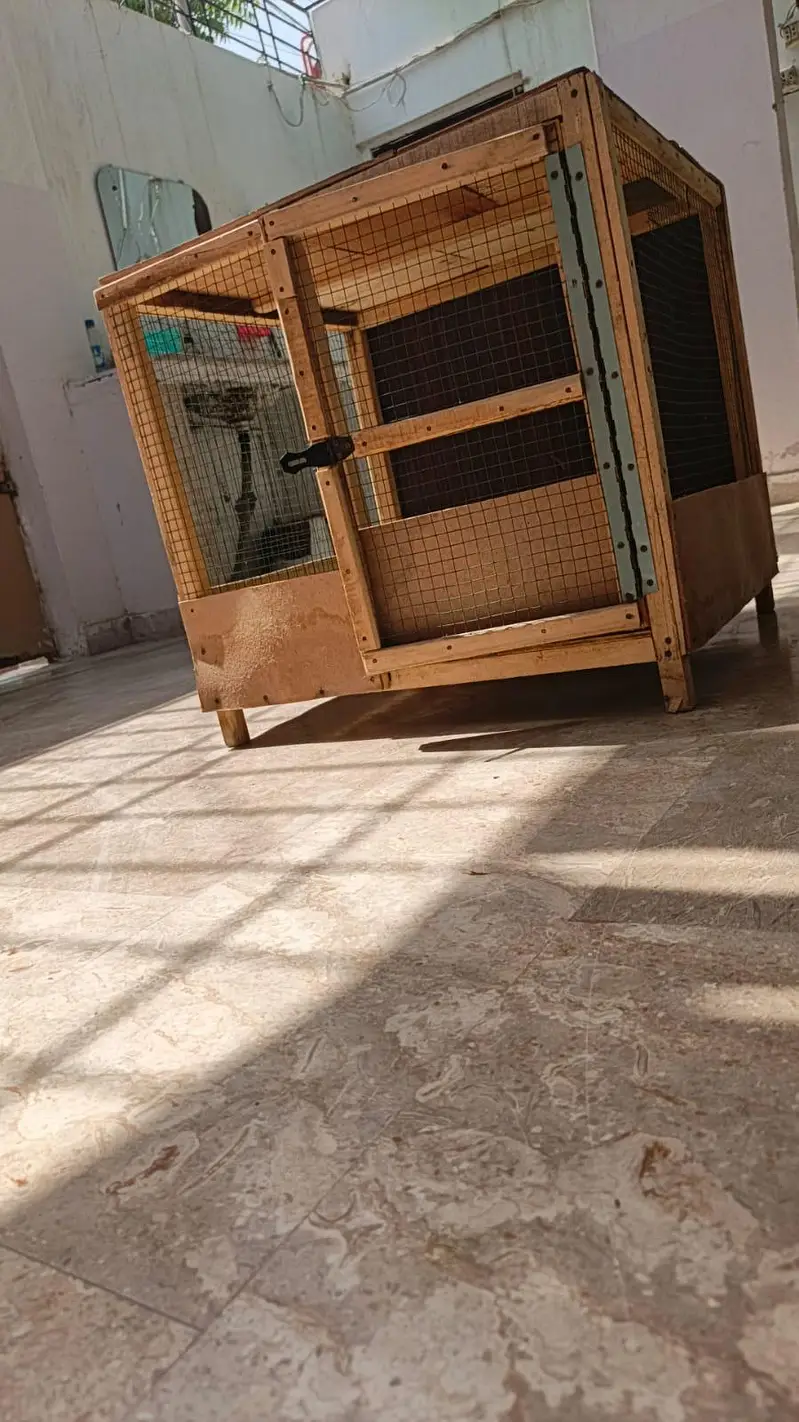 Birds Cage Available
