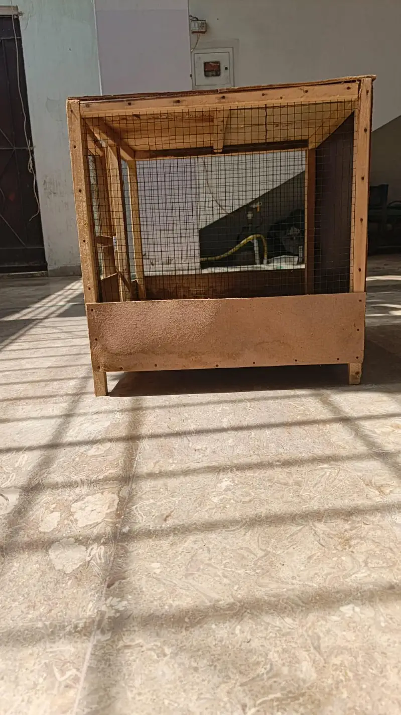 Birds Cage Available — photo 2