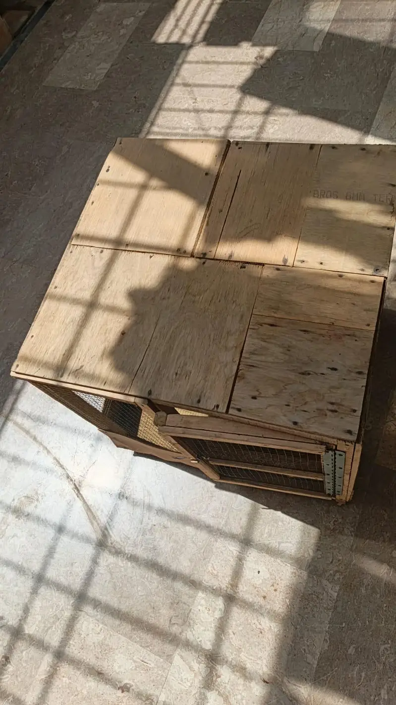 Birds Cage Available — photo 3