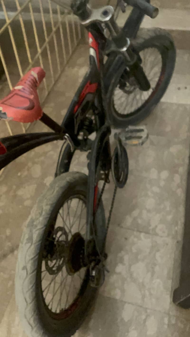 Cycle morgun 1
