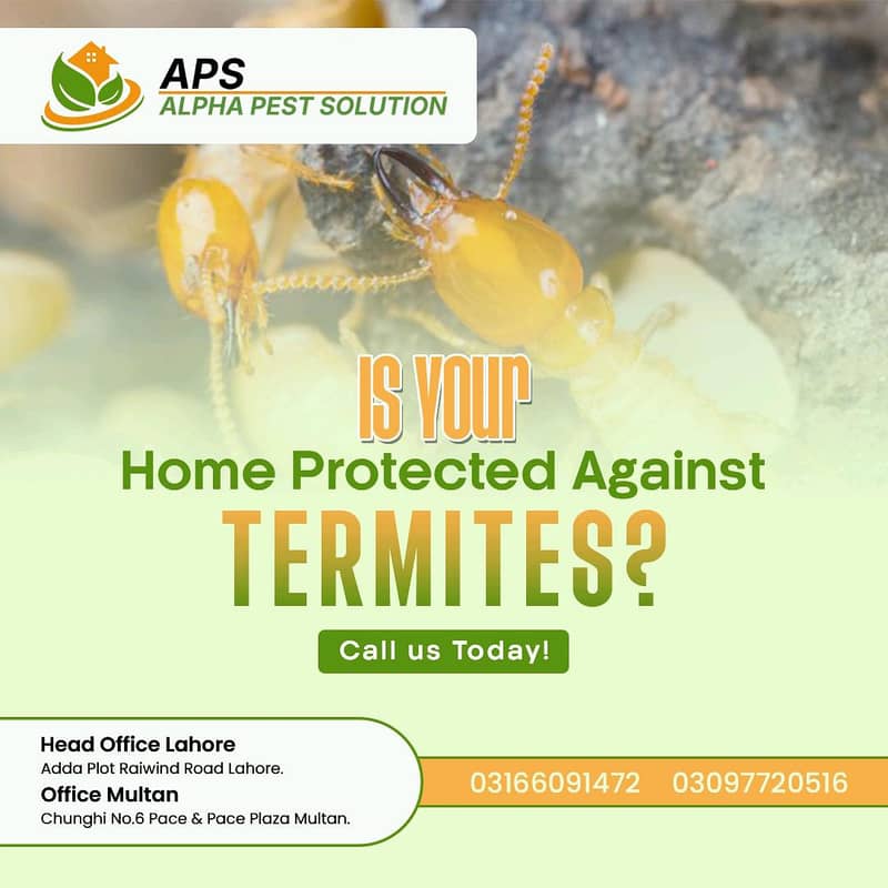 FUMIGATION SERVICE/TERMITE PROOFING SERVICES. 1