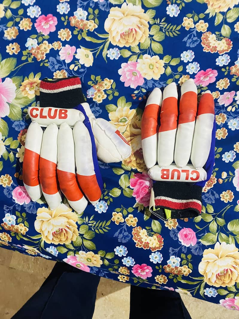 Cricket kit 3