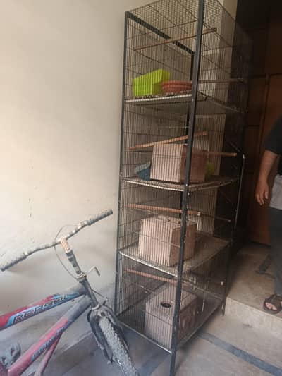tower cage