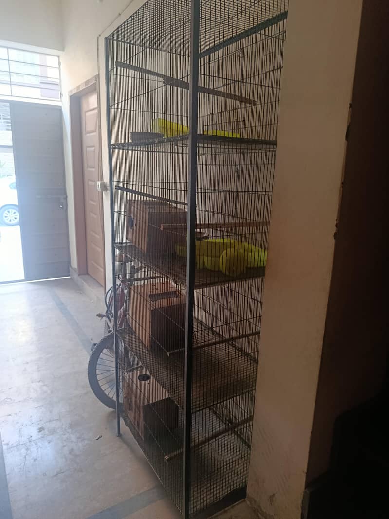 tower cage 1