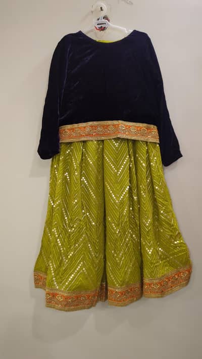 Beautiful Party Wear Lehnga Choli – Lightly Used | Elegant Design