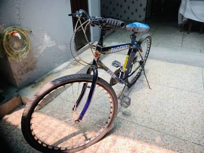 Original phoneix Gear bicycle