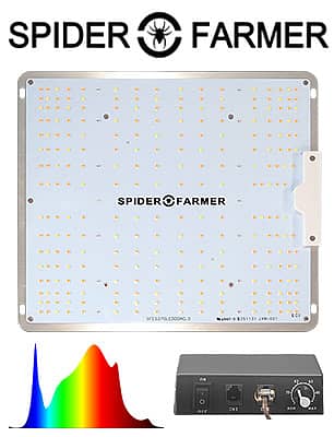 Grow light - Spider Farmer SF 1000D
