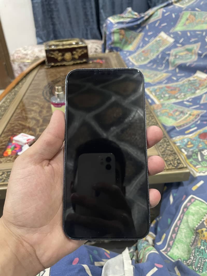 IPHONE 13 PRO MAX 0
