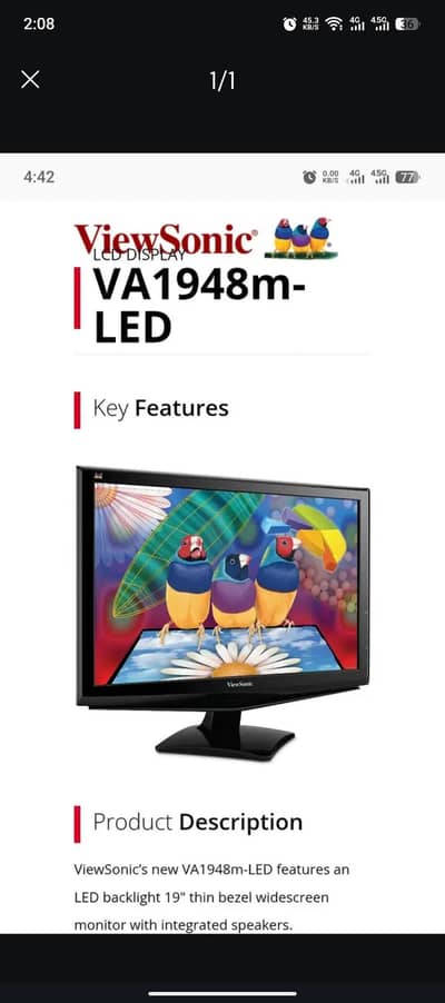 ViewSonic 19" LED