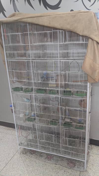 10 Parrots for sale with 12 big Compartment Cage
