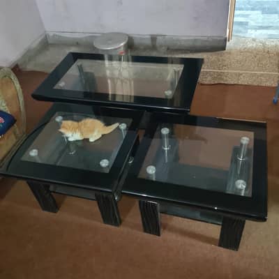 glass table set with curve design with mat black border