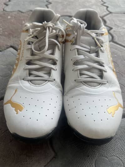 Shoes.
