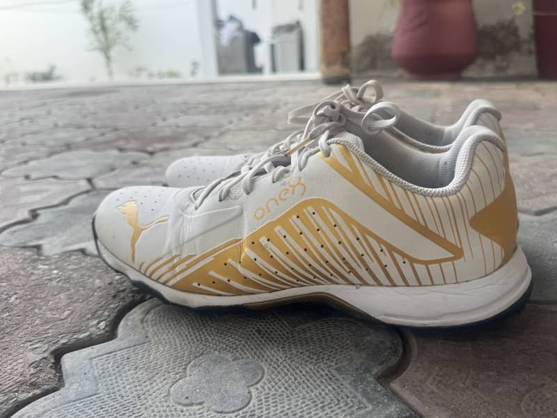 Shoes. 1