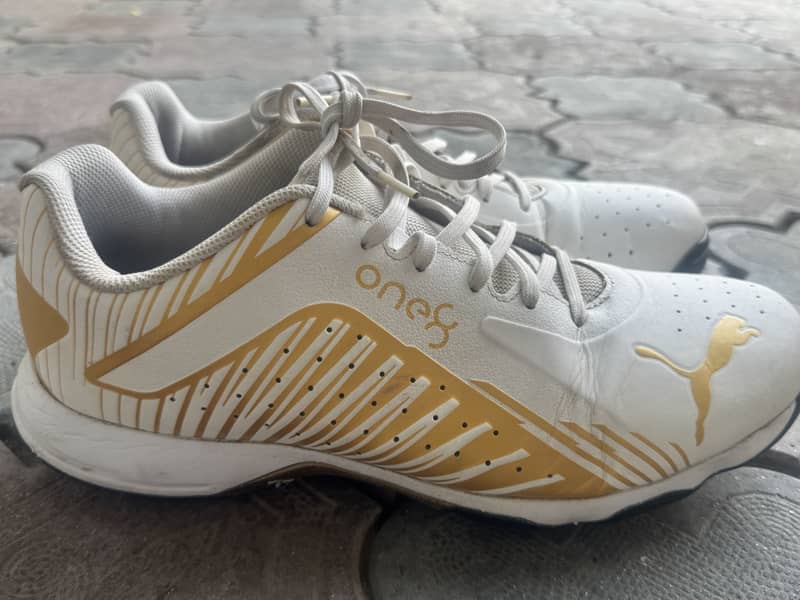 Shoes. 2