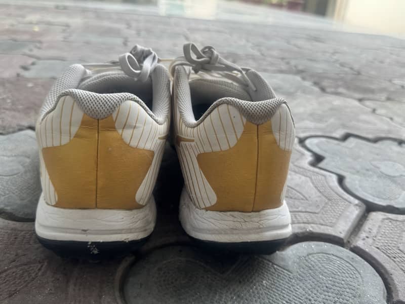 Shoes. 3