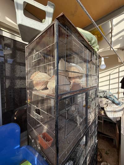 cage  pinjra for sell