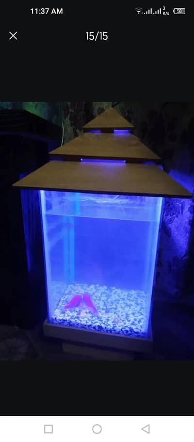 aquarium and fish's airpump and led lights stones