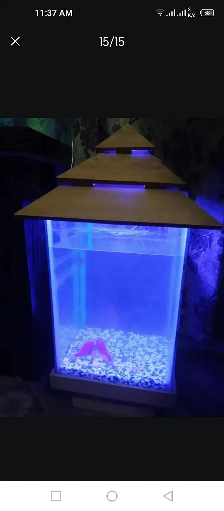 2 fish Aquarium sale All oky good condition — photo 9