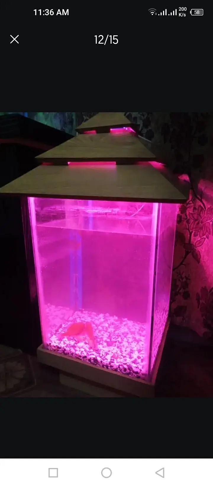 2 fish Aquarium sale All oky good condition — photo 10