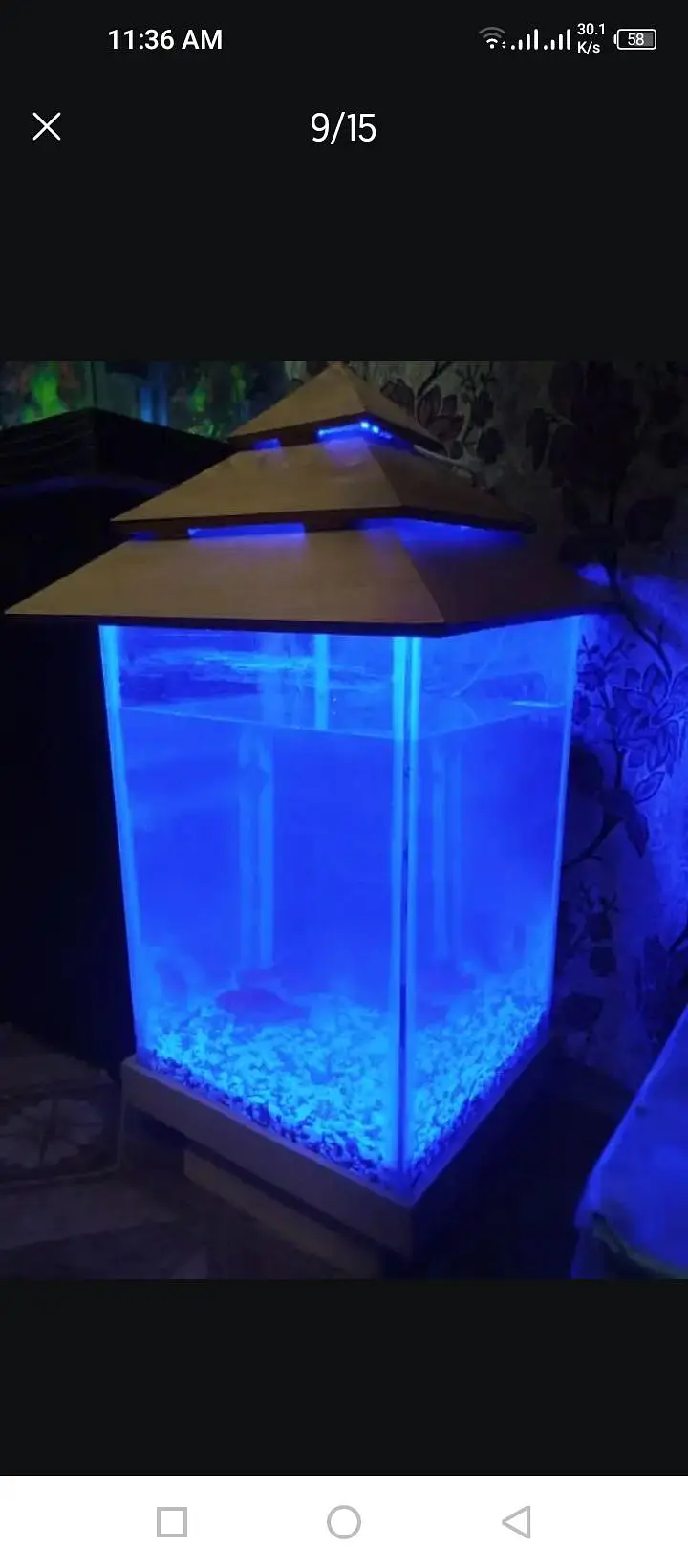 2 fish Aquarium sale All oky good condition — photo 11