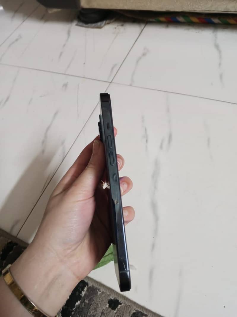 12 pro max 3
