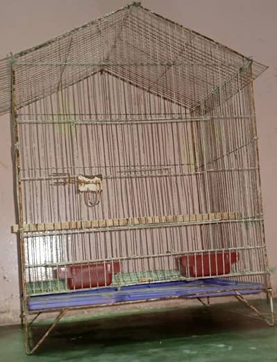 cages birds 03192020884