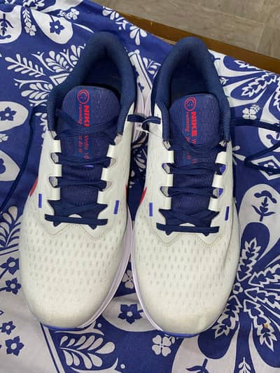 Nike Air Winflo 10 Sea Glass Midnight Navy (Premium Plus Batch)