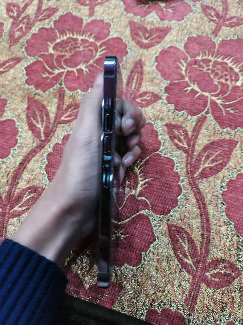 iPhone 13 pro max 1