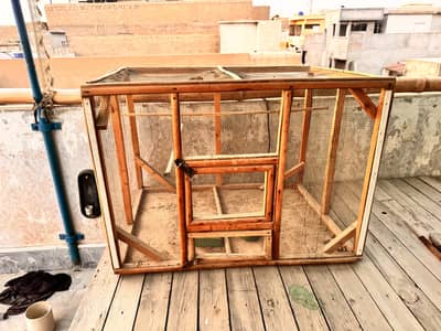 Birds cage