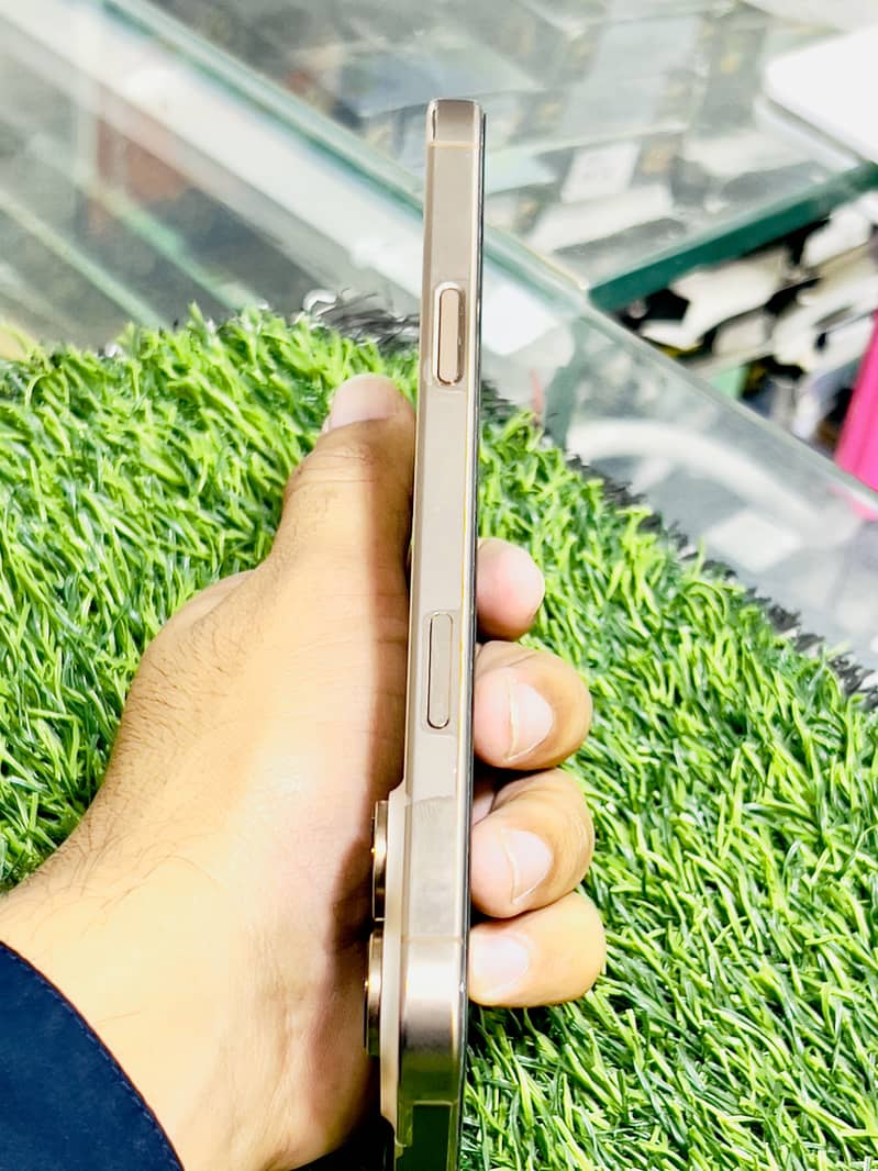 16 pro max 2