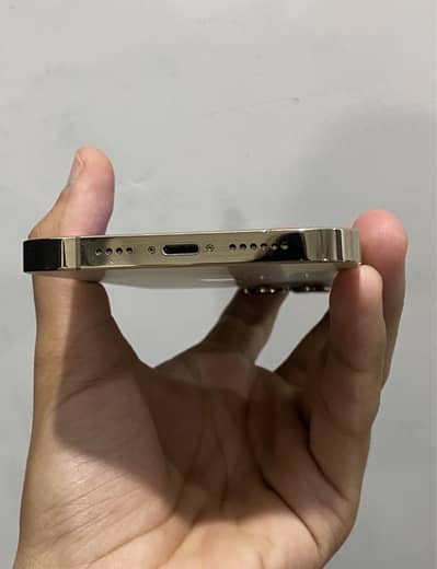 iphone 13 pro max jv golden  256 GB