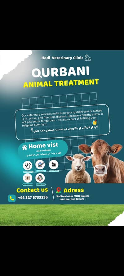 Hadi pets clinic