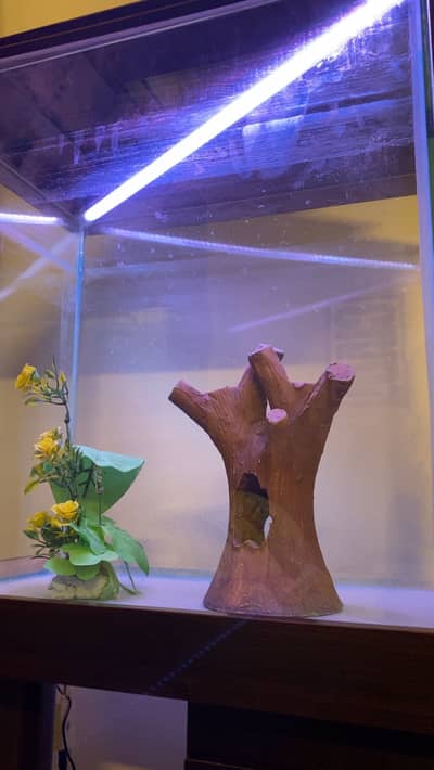 Premium Pagoda Fish Tank/Aquarium + Stand | Complete Setup + FREE GIFT