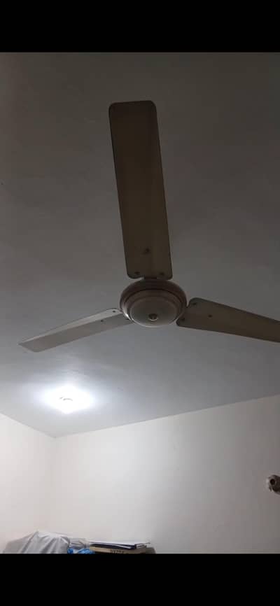 Ceiling 10/10 copper Fan