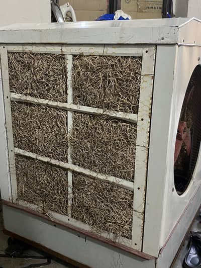 Lahori air cooler