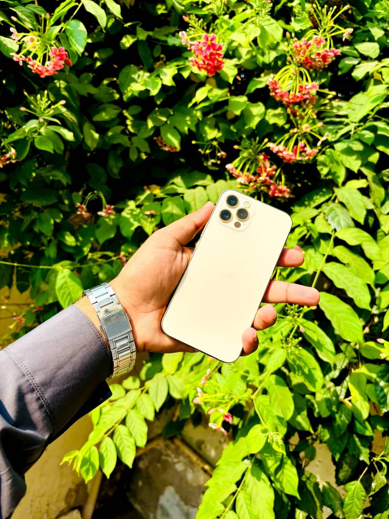 Iphone 12 Pro 0