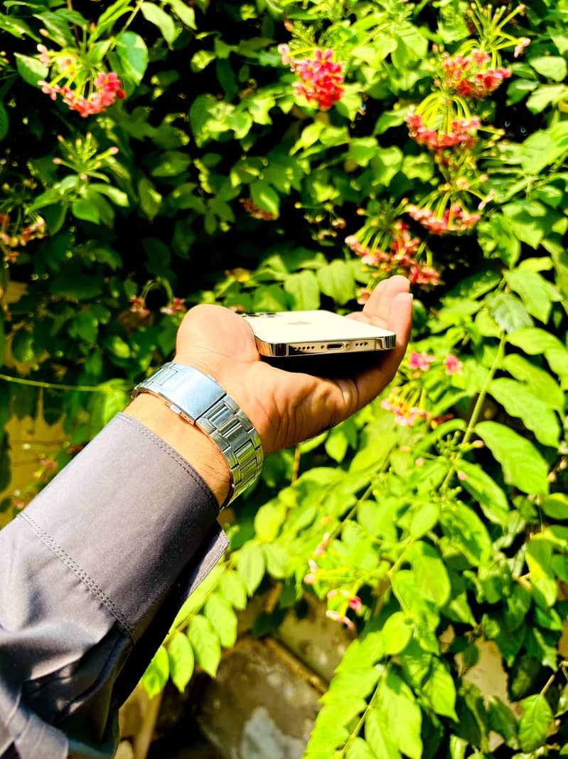 Iphone 12 Pro 3