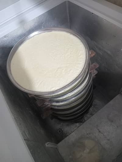 Doodh ki shop par sale k liya ak larki ki zarorat hay 03141367671