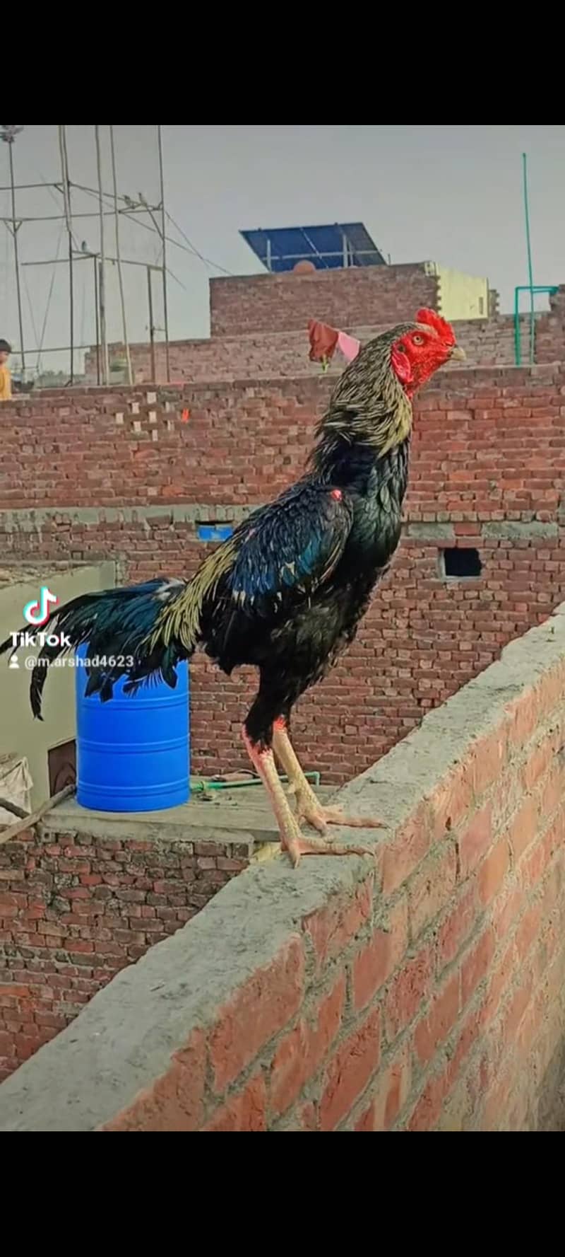 khobsorat 0