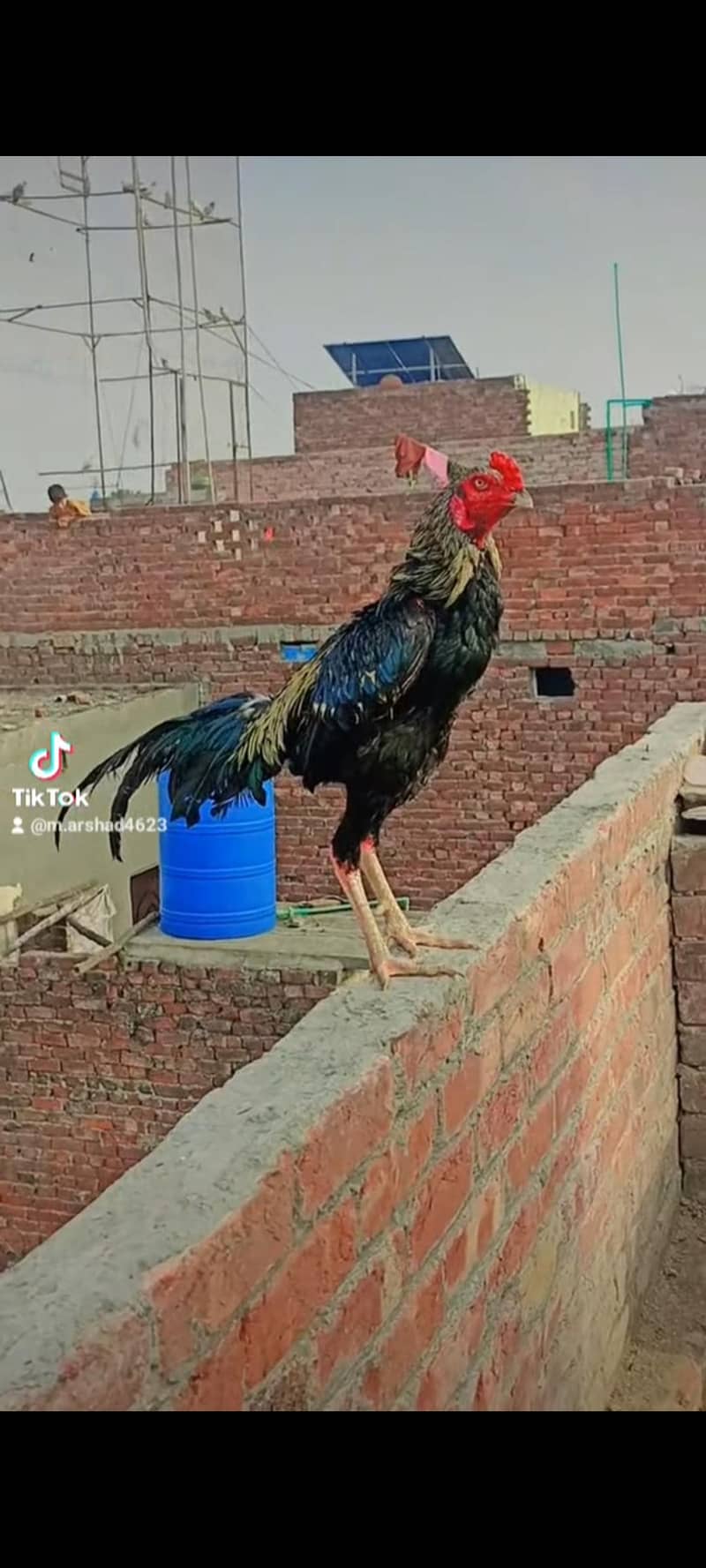 khobsorat 1
