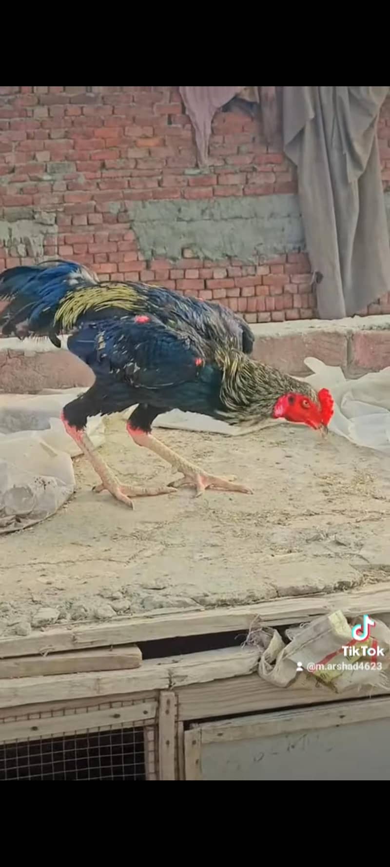 khobsorat 2