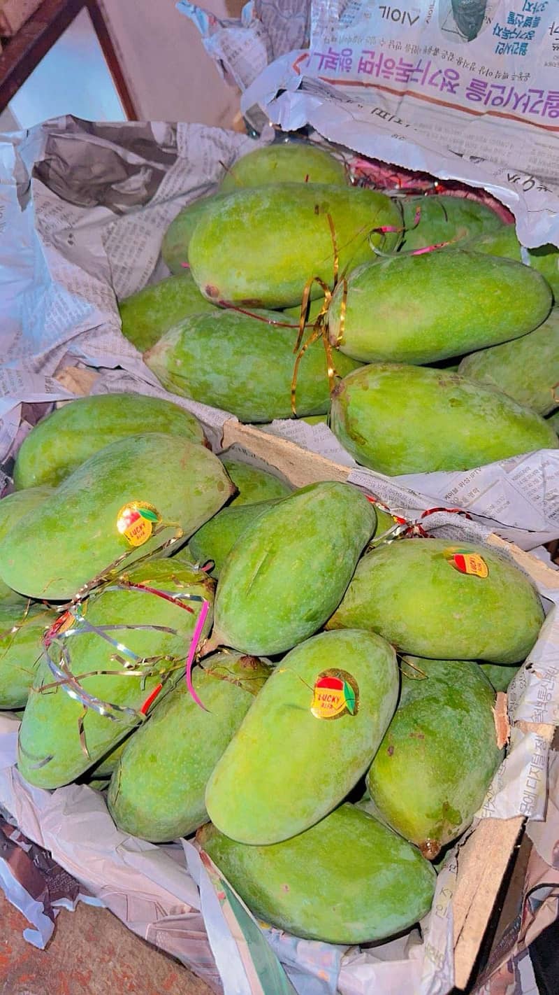 Fresh mango 0