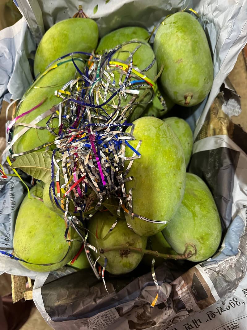 Fresh mango 3