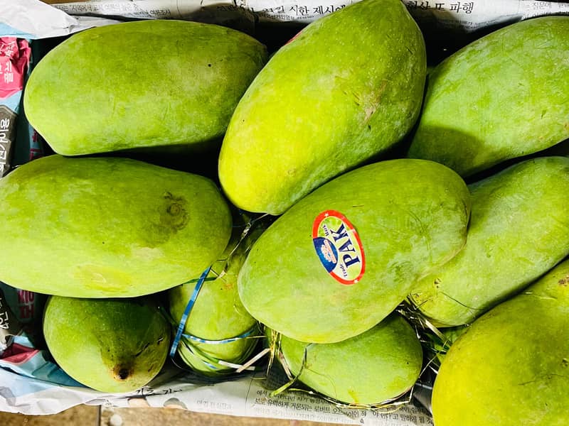 Fresh mango 4