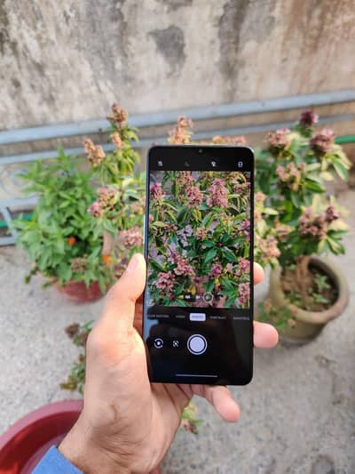 One plus 7t 8/128