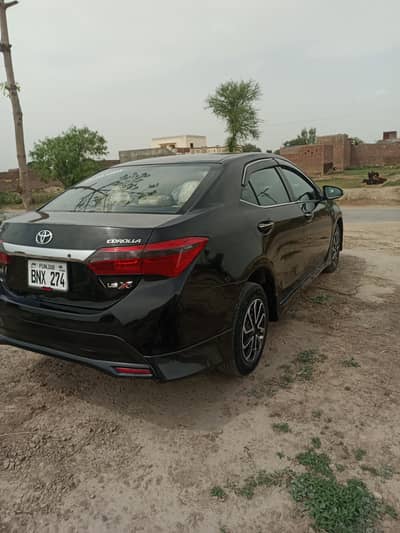 Corolla XLI