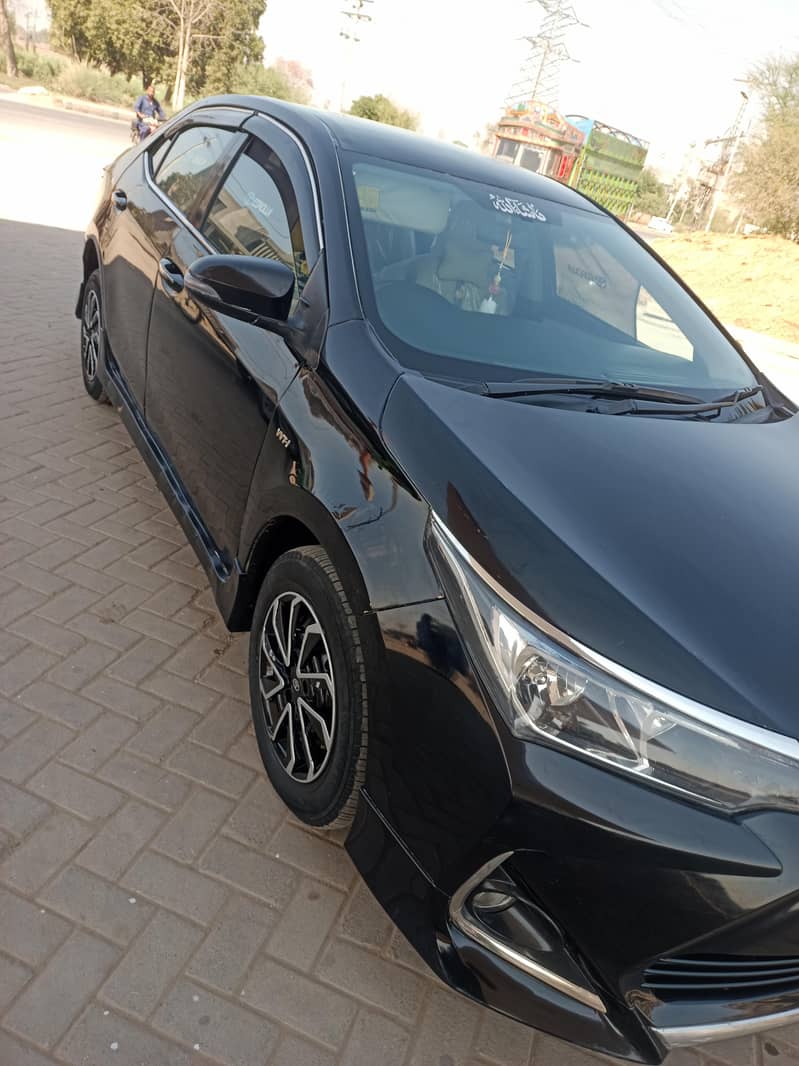 Corolla XLI 5