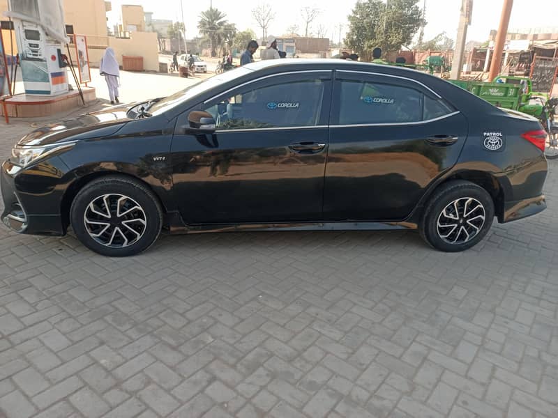 Corolla XLI 6