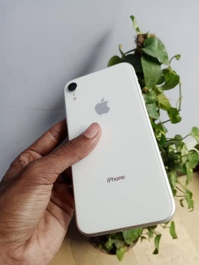 iPhone xr 10/10 64 Gb JV